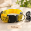 Safety LED light up Collars