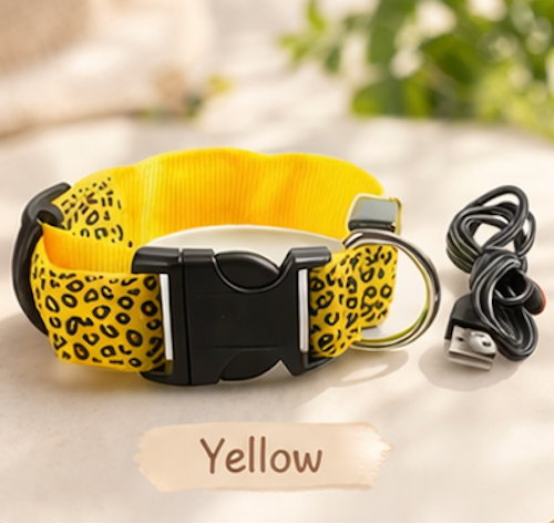 Safety LED light up Collars