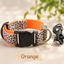 Safety LED light up Collars
