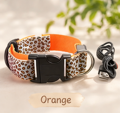 Safety LED light up Collars