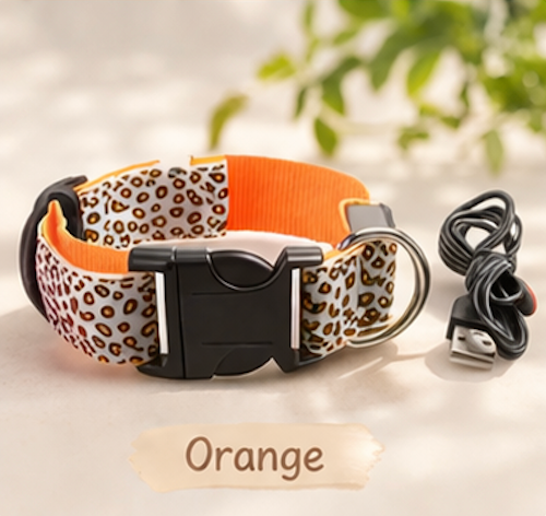 Safety LED light up Collars