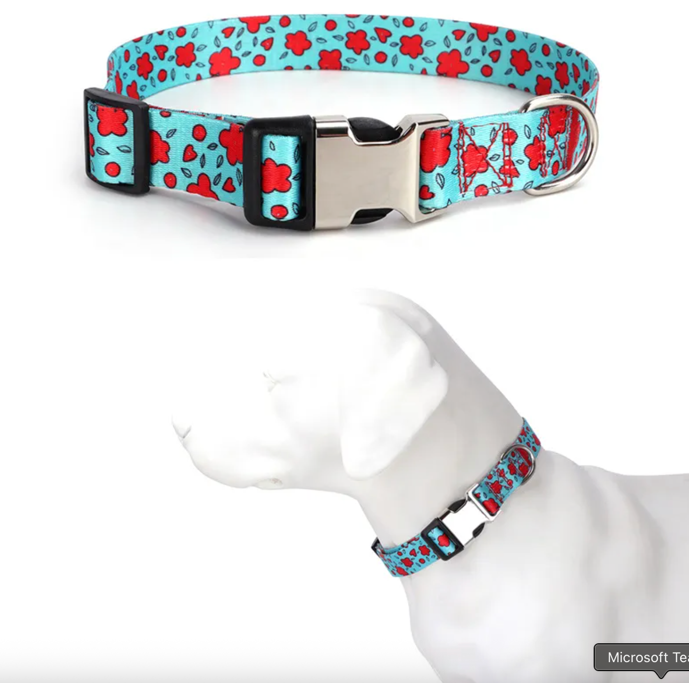 Personalized Engraved Dog Collar