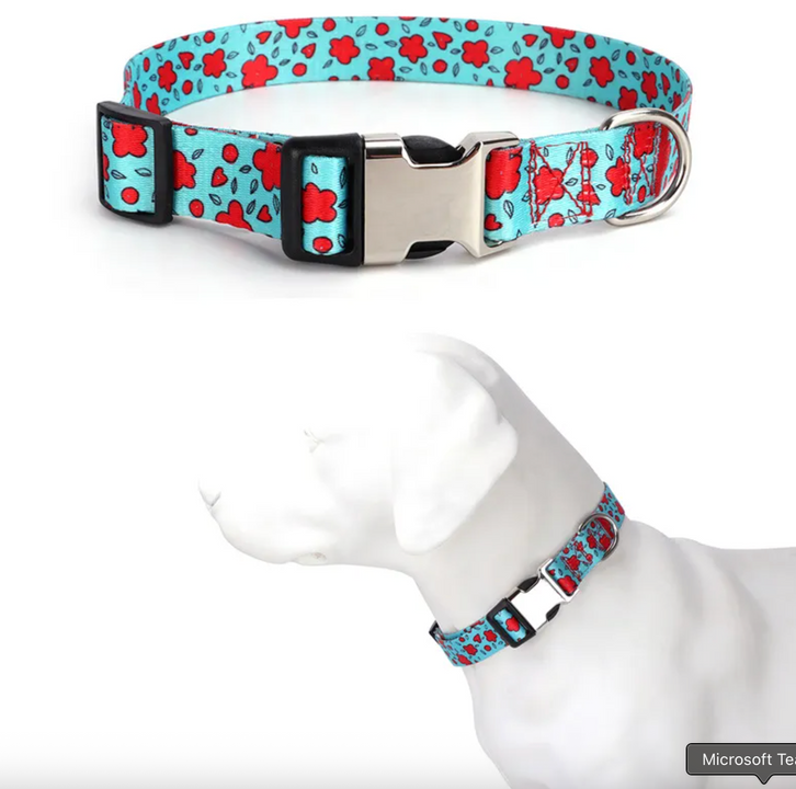 Personalized Engraved Dog Collar