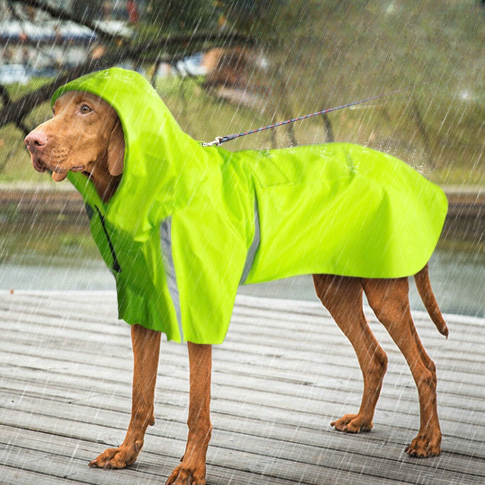 Waterproof Dog Raincoat