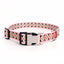 Personalized Engraved Dog Collar