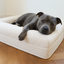 Luxury Bouclé Memory Foam Dog Bed