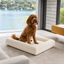 Luxury Bouclé Memory Foam Dog Bed
