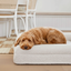 Luxury Bouclé Memory Foam Dog Bed