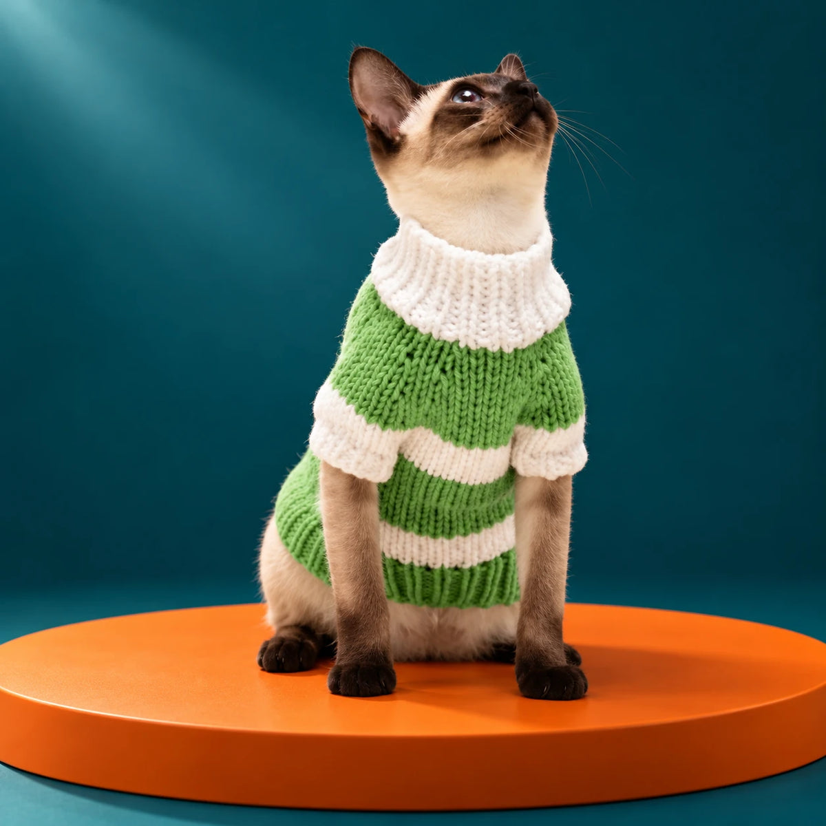 Cat wearing a green and cream striped jumper