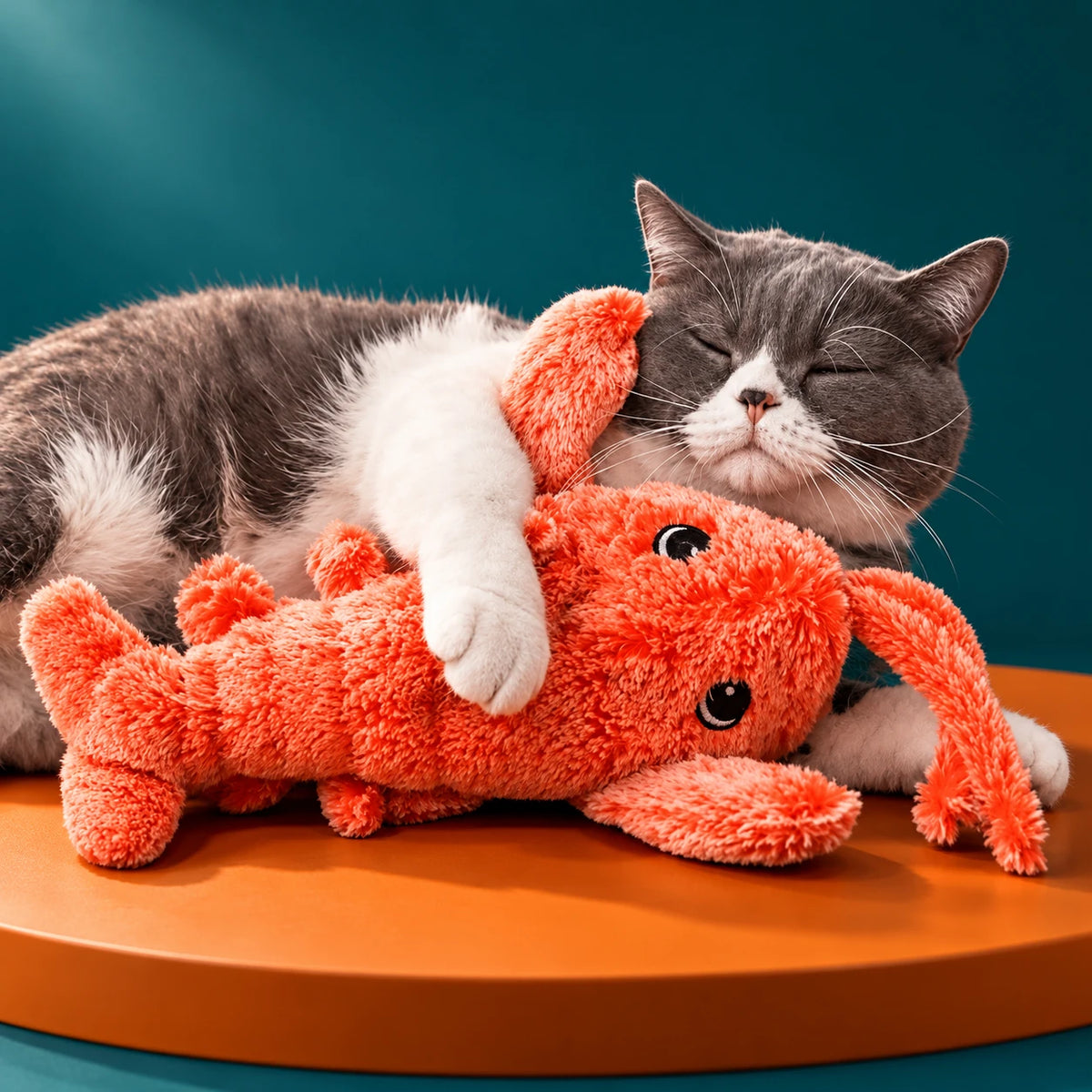 Cat cuddling an orange plush toy