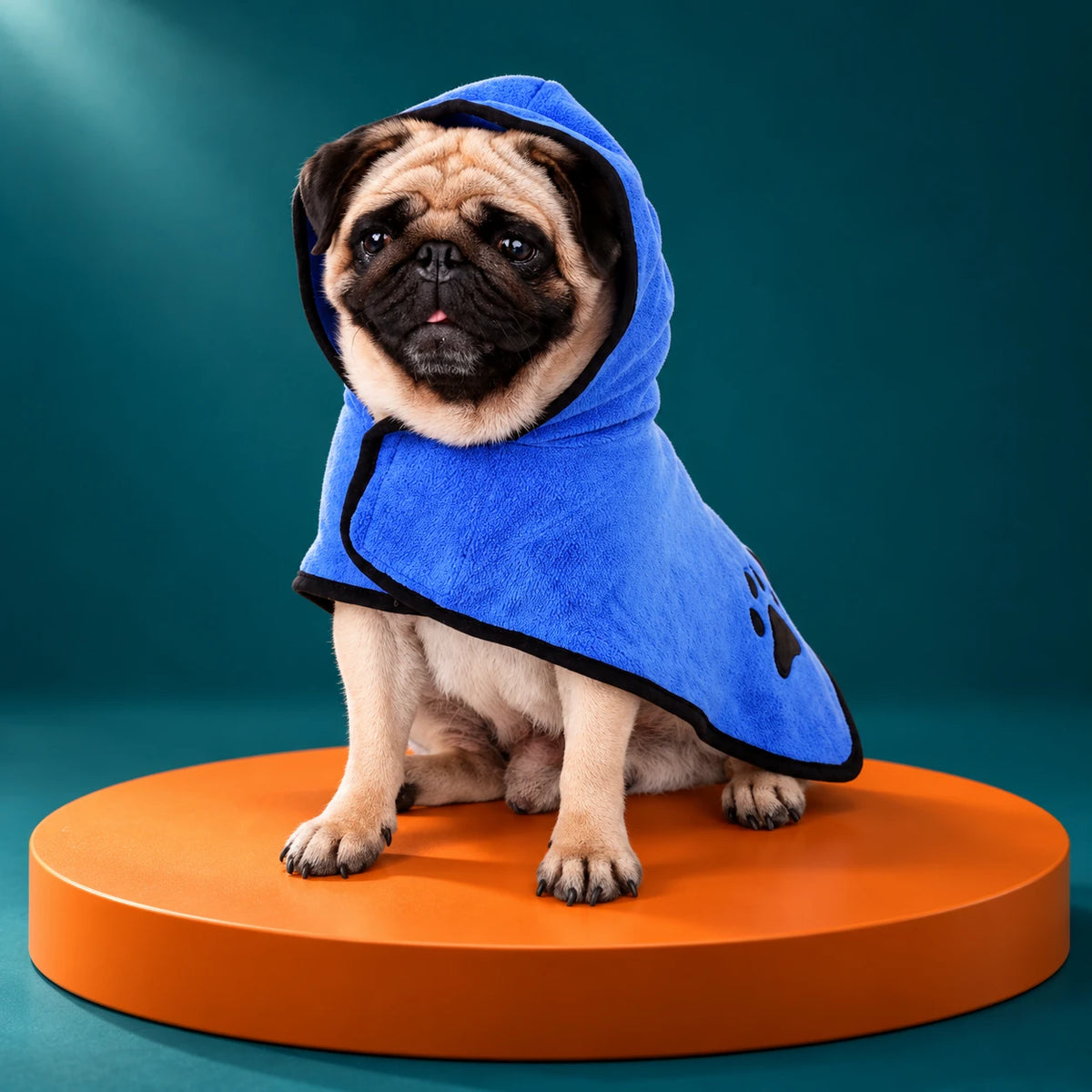 Pug wearing a blue bathrobe