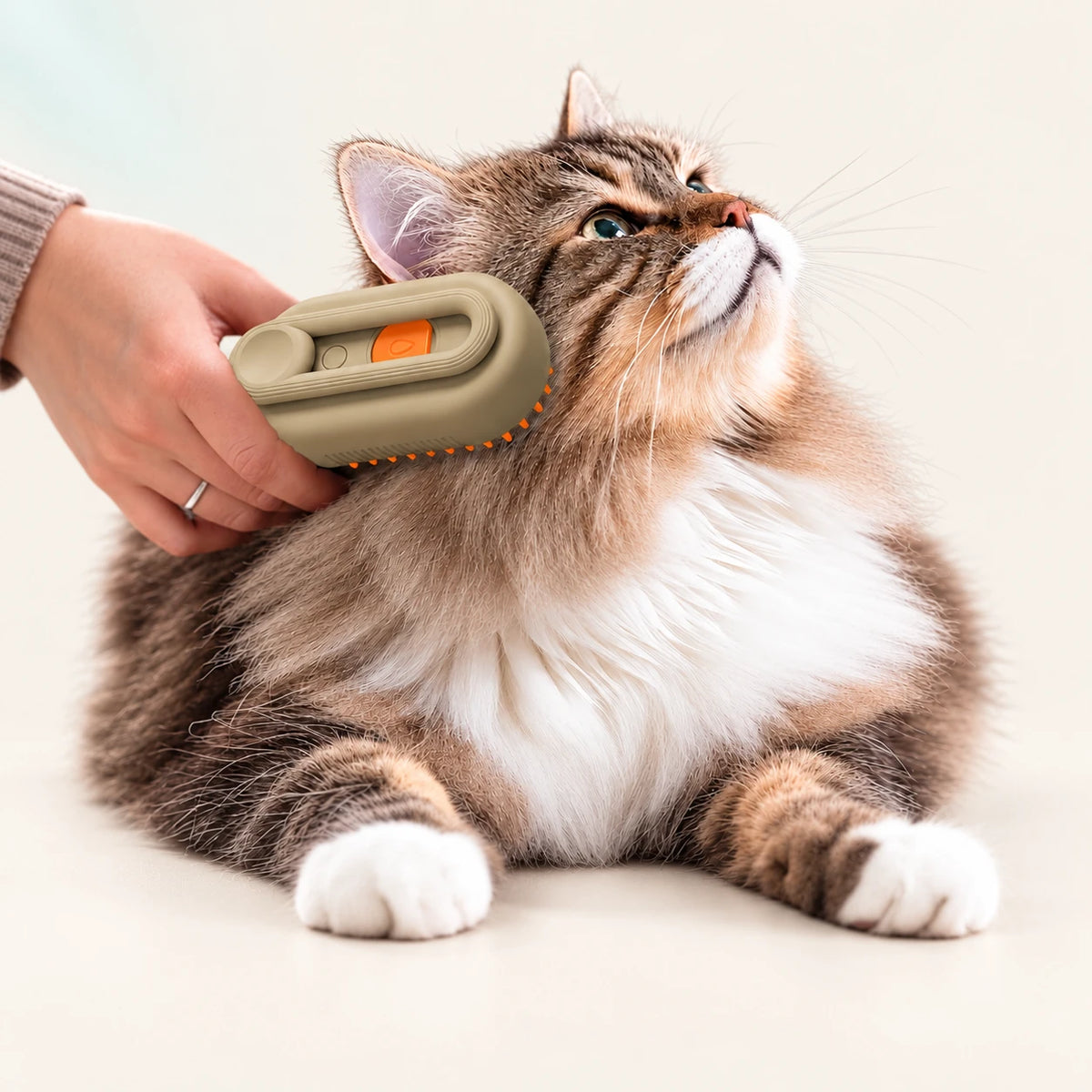 Tabby cat being brushed with an olive grooming brush.