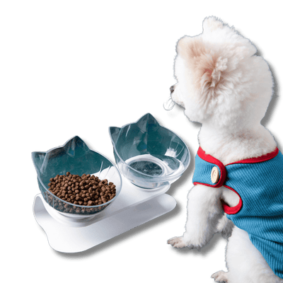 Inclined Non-Slip Food Bowl