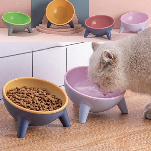Raised Tilted Pet Bowls - Buddies Pet Shop