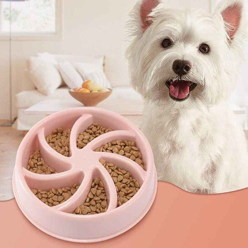 Slow Feeder Pet Bowl - Buddies Pet Shop