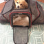Airline Ready Dog & Cat Carrier