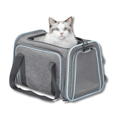 Airline Ready Dog & Cat Carrier