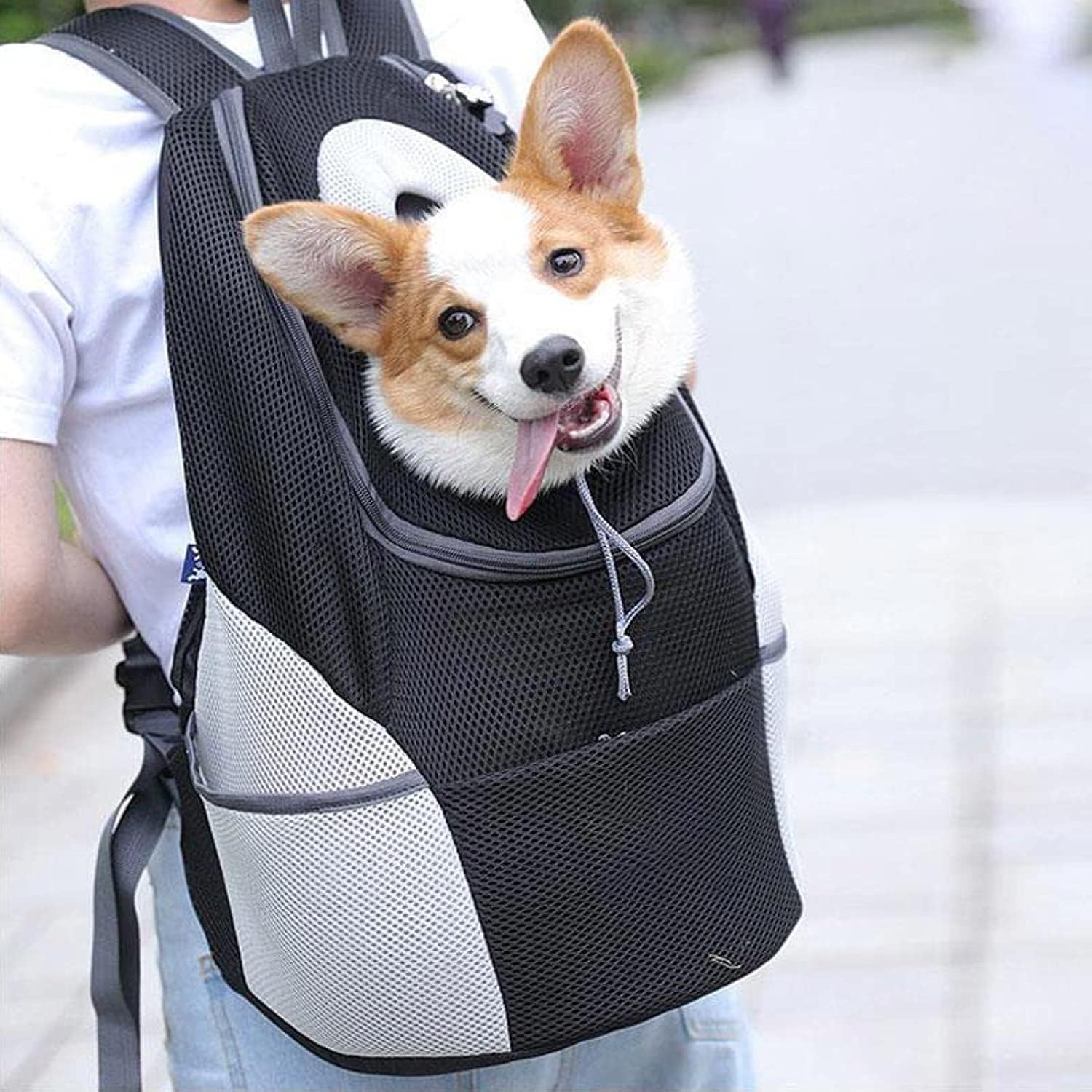 Companion Dog Backpack