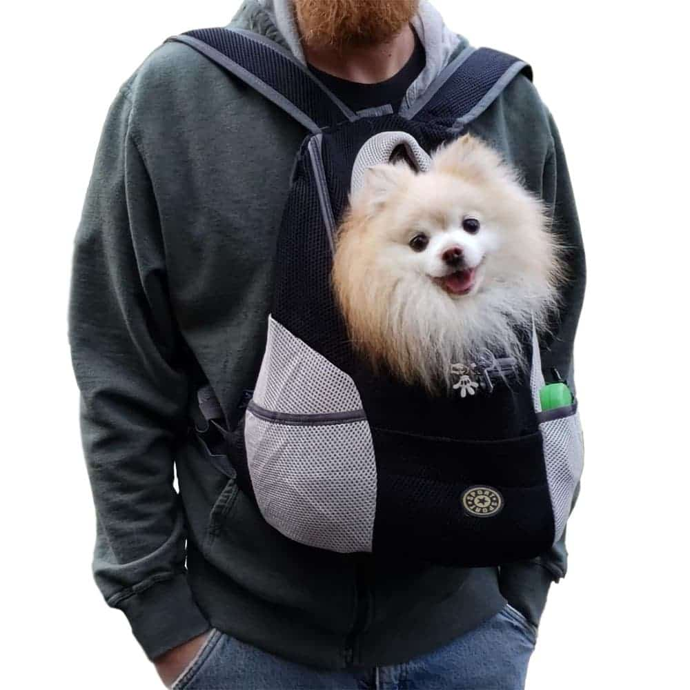 Dog pouch best sale