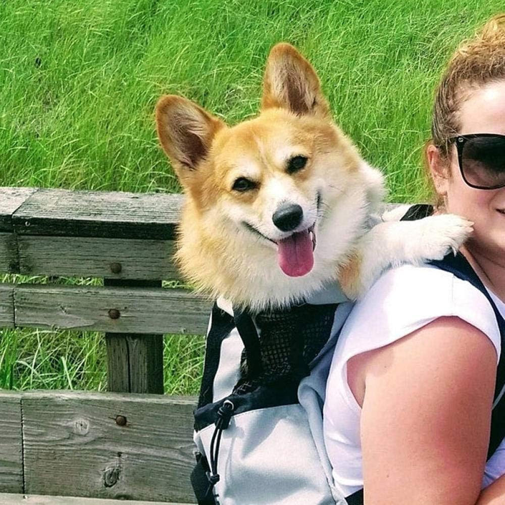 Companion Hiking Dog Backpack