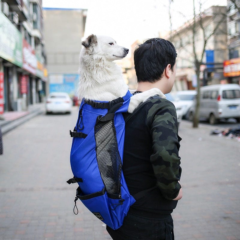Hiking Backpack Dog Carrier