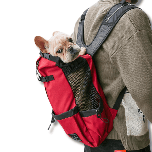 Dog travel backpack hotsell