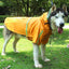 Reflective Dog Raincoat for Big Dogs