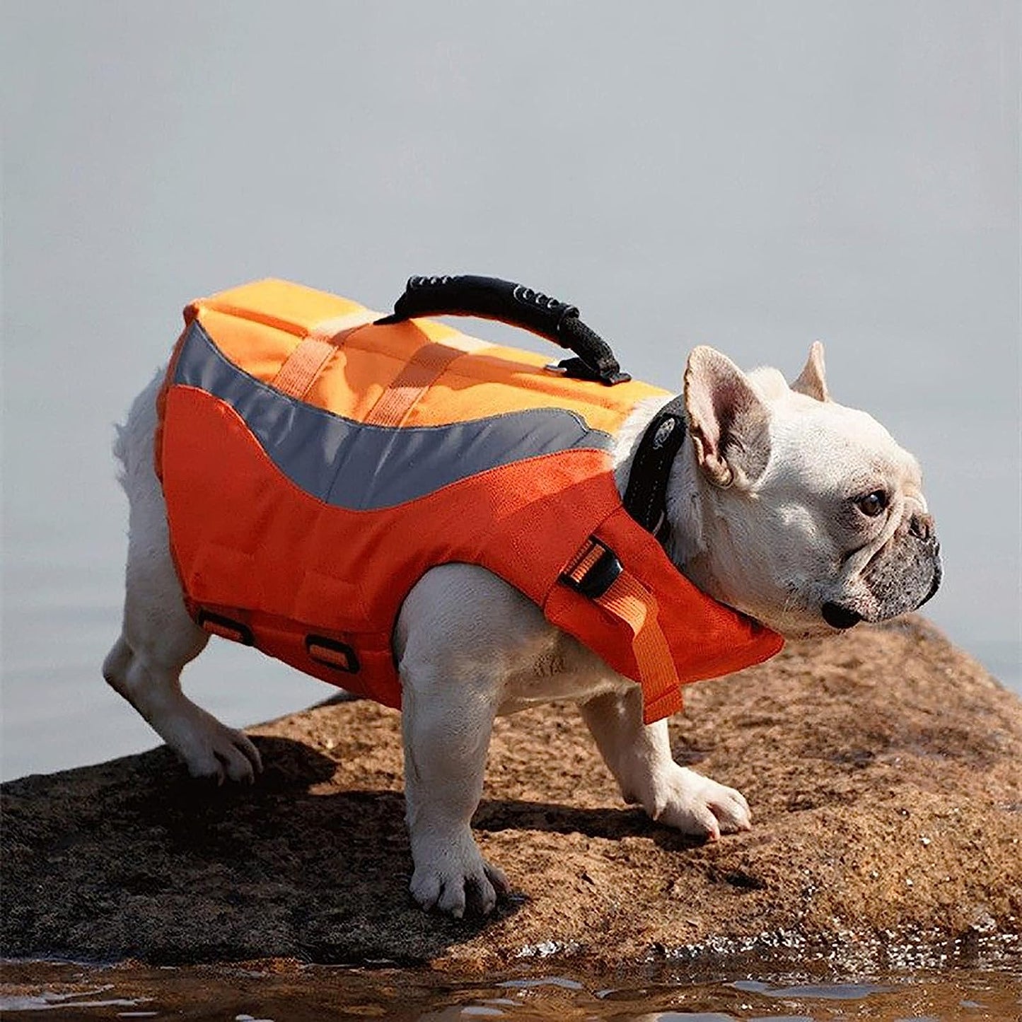 Reflective Life Jacket for Dogs