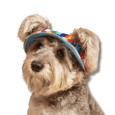 Retro Style Dog Hats