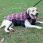 Reversible Warm Dog Coats