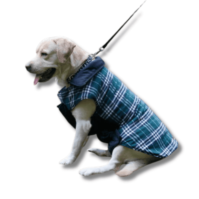 Reversible Warm Dog Coats