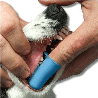 Canine Clean Fingerbrush