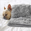 Calming Snuggle Blanket - Buddies Pet Shop