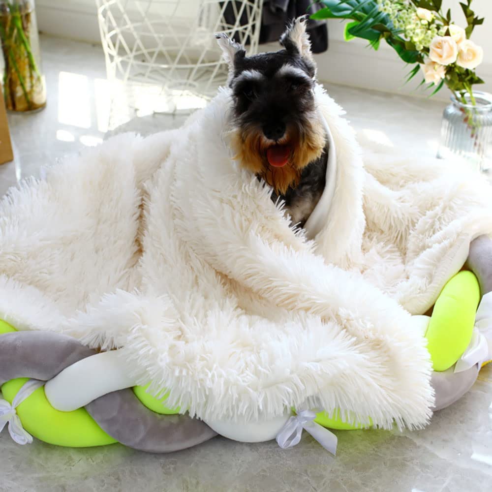 Dog snuggle blanket sale