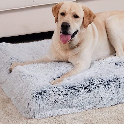 Ultimate Comfort Calming Dog Bed - Buddies Pet Shop