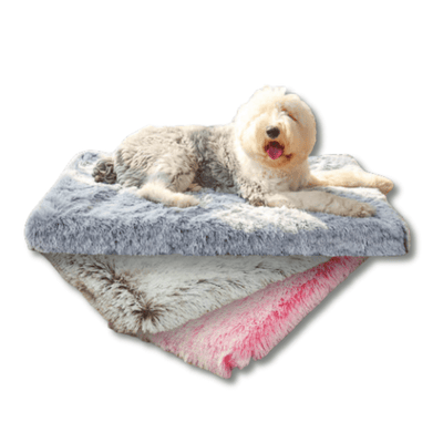 Ultimate Comfort Calming Dog Bed