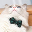 Bow Tie Cat Collar with Bell