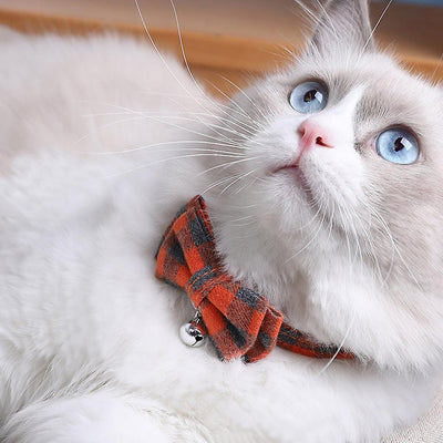 Bow Tie Cat Collar with Bell