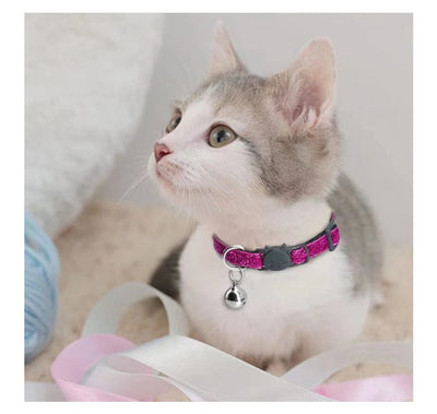 Cat Glam Collar with Bell
