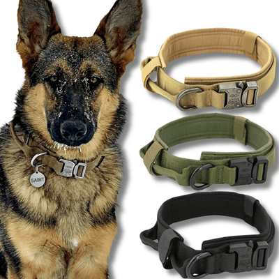 tactical dog collar