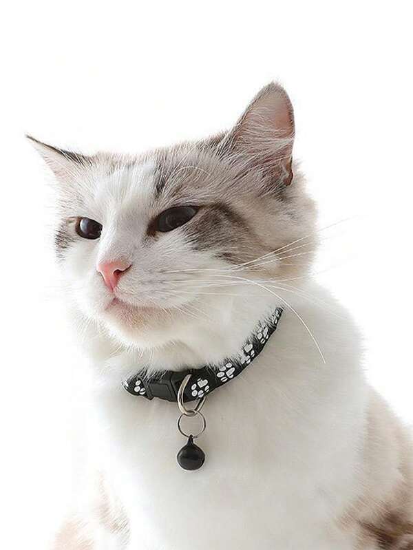 Paw Charm Pet Collars