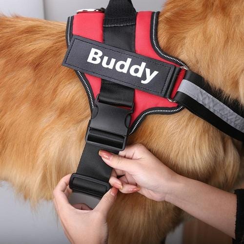 Personalised No Pull Dog Harness - Buddies Pet Shop