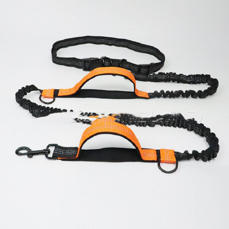 Pet Running Traction Leash