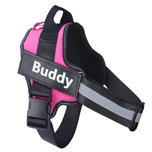Replacement Custom Harness tags - Buddies Pet Shop