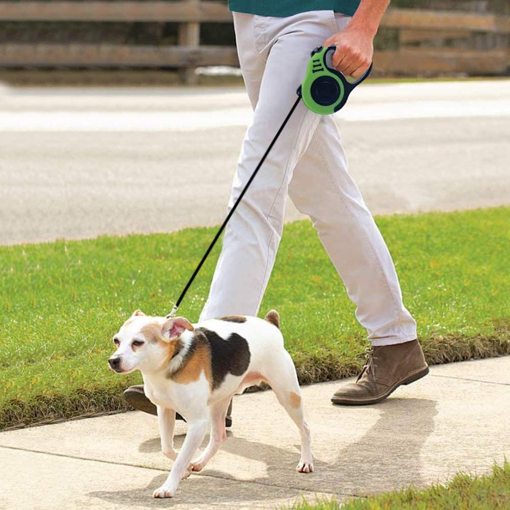 Leash for walking two dogs best sale