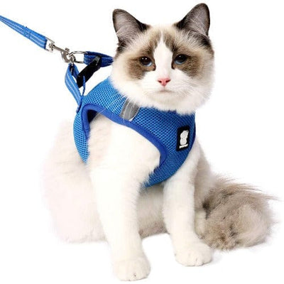 Ultimate Comfort Cat Harness