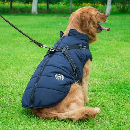 Blue dog jacket best sale