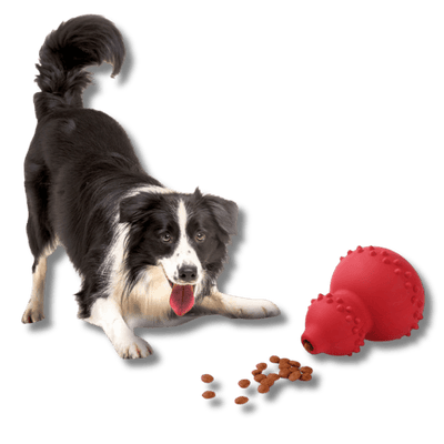 Chew Resistant Dog Toy