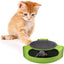 Hidden Mouse Interactive Cat Toy
