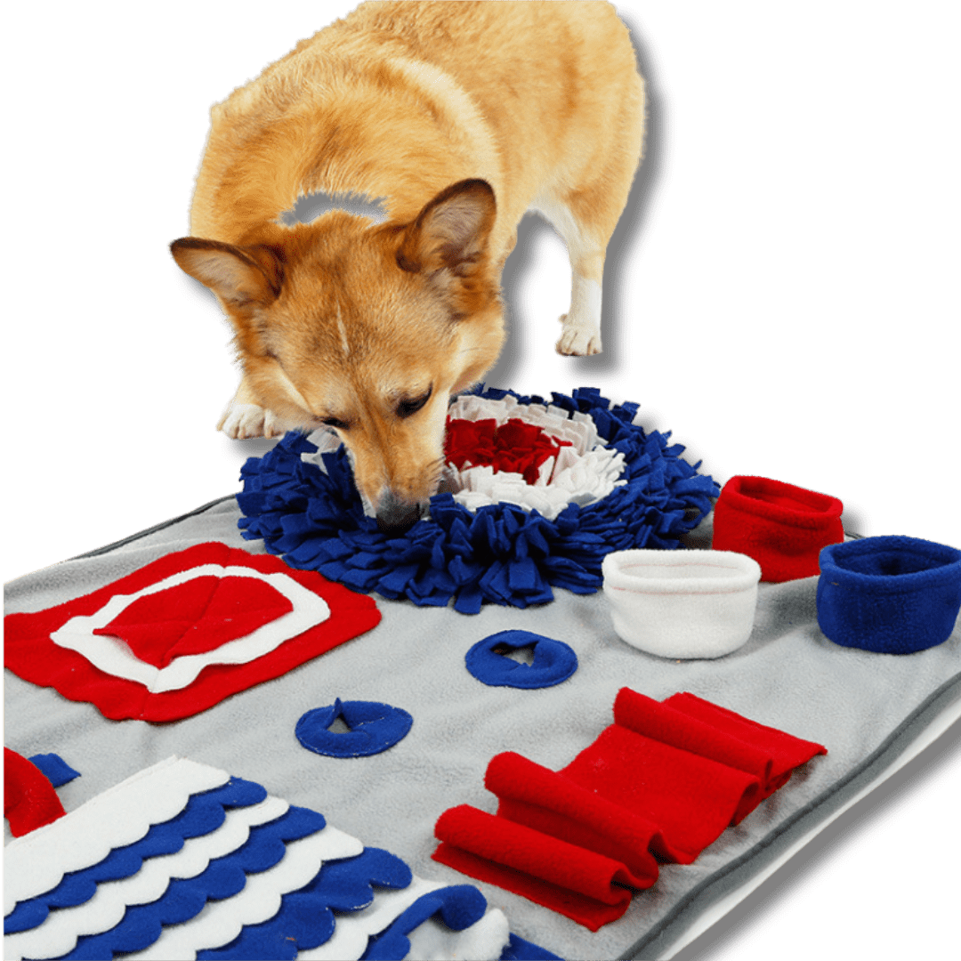 Interactive Snuffle Mat - IQ Treat Toy - Dog Toy Mat - Soft & Washable ...